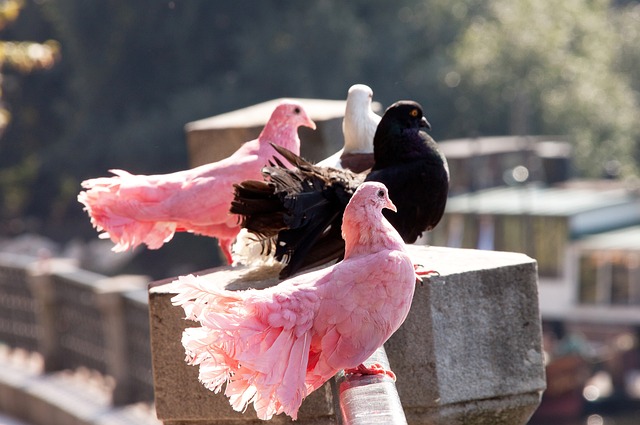 对于一名新 对于一名新