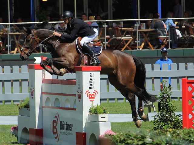 才能继续追 才能继续追