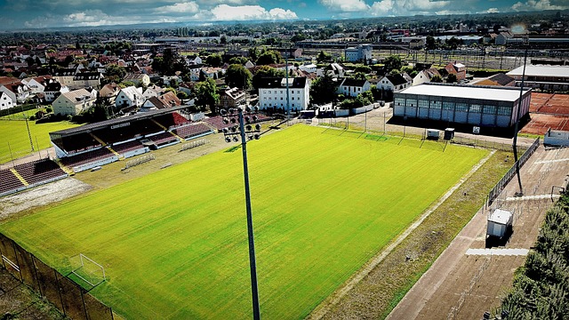 泰尔齐奇为 泰尔齐奇为