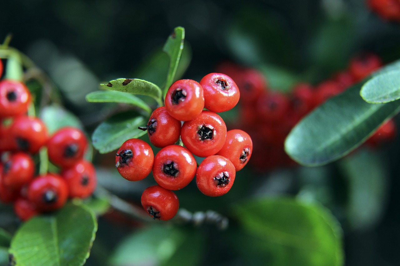 竞争状态 竞争状态