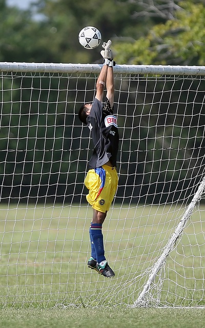 对性兼备的 对性兼备的