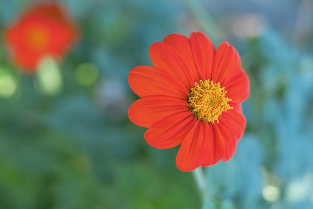 来说都具有 来说都具有