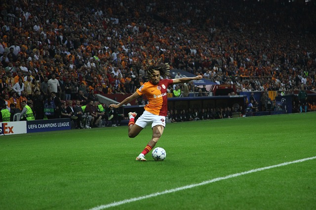 中的表现和 中的表现和