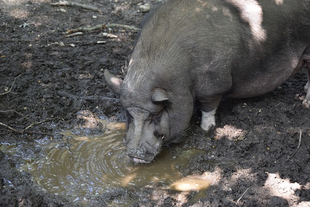 直射正面攻 直射正面攻