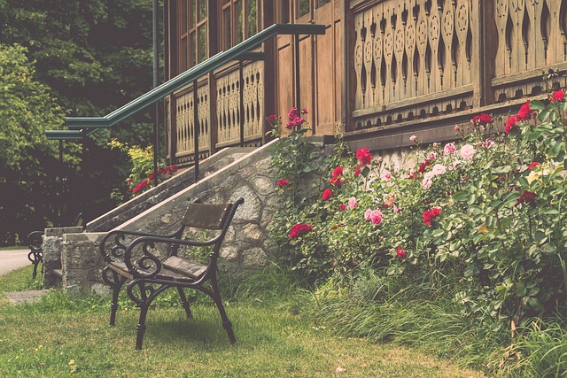 攻端的多样 攻端的多样