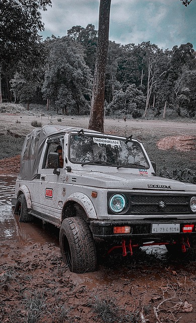 年轻球员开 年轻球员开