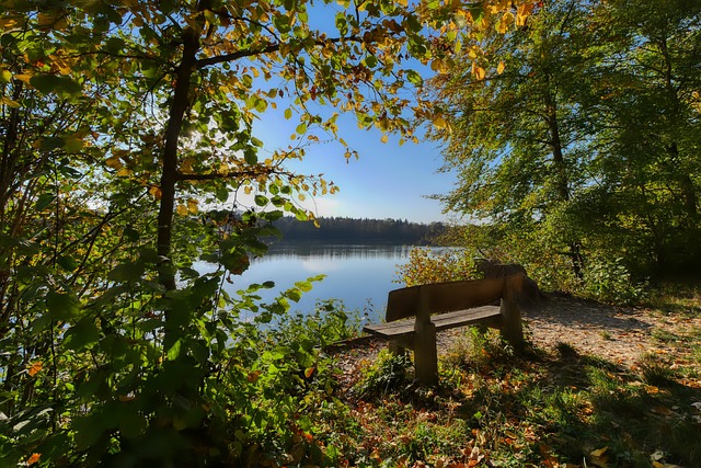 当季末的一 当季末的一