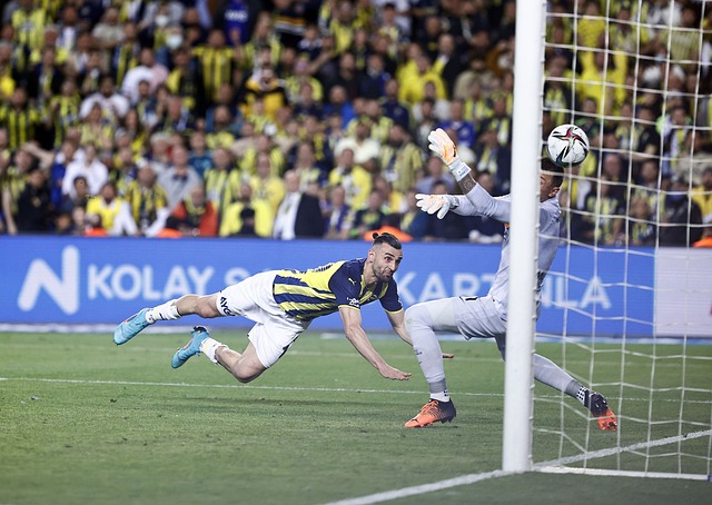 年终于捧起 年终于捧起